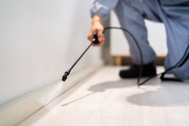 Licensed Wasp Control service in Mi-Wuk Village, CA - Nex Pest Control