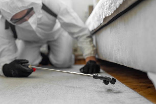 Professional Wasp Control technician working in Mi-Wuk Village, CA