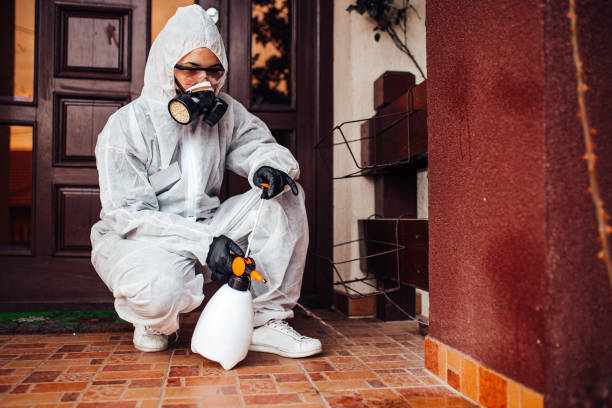 Reliable Cockroach Control contractor in Mi-Wuk Village, CA by Nex Pest Control