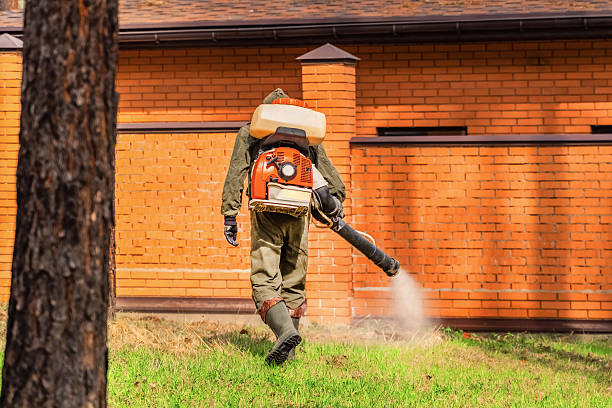 Trusted Cockroach Control service in Mi-Wuk Village, CA - Nex Pest Control